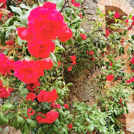 Brennerei Haselberg Apartment