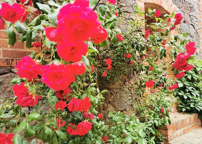 Brennerei Haselberg Appartement